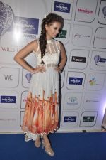 Evelyn Sharma at Lonely Planet Awards in Palladium, Mumbai on 11th June 2014